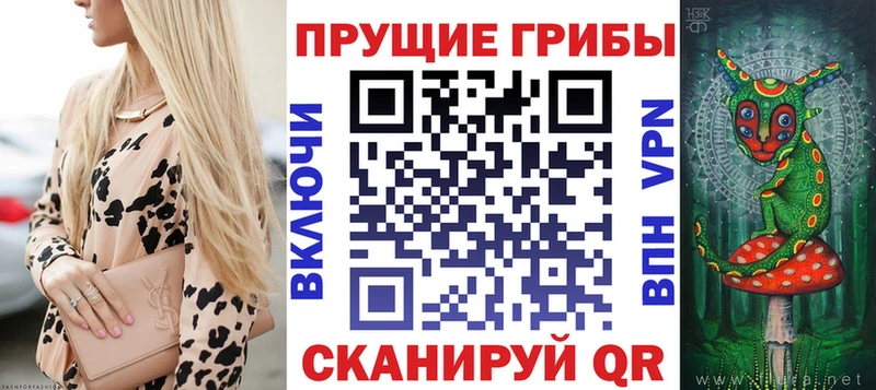 Галлюциногенные грибы мицелий  что такое   Одинцово 